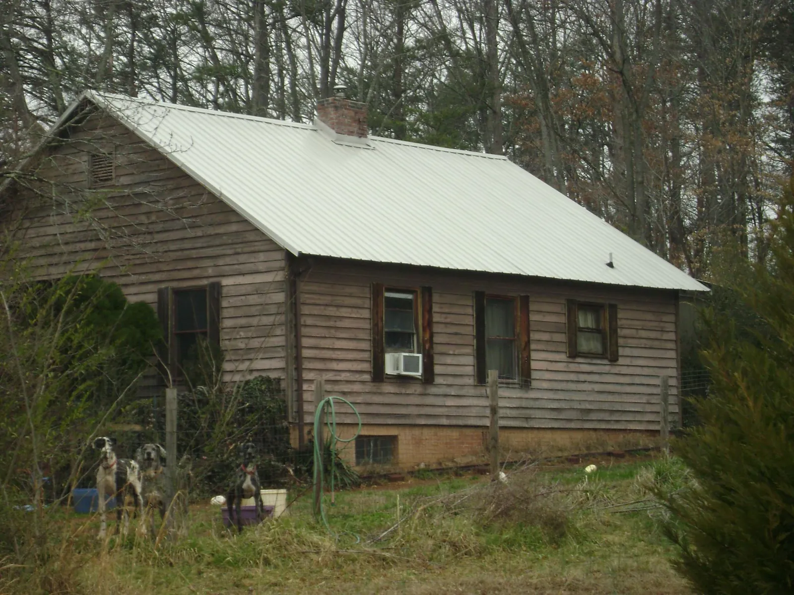 White metal roof on an old wood sided farmhouse, from a Metal Roof Installation job in Piney Flats
